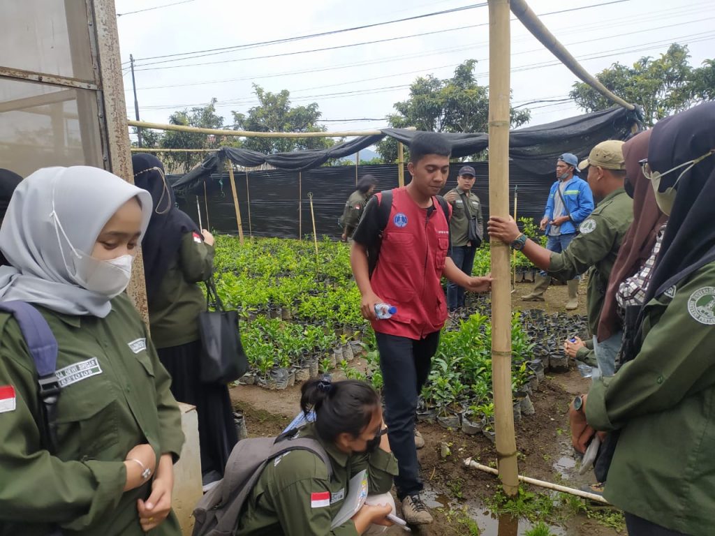 Fieldtrip Fakultas Pertanian UMA Di UPT Benih Induk Hortikultura ...