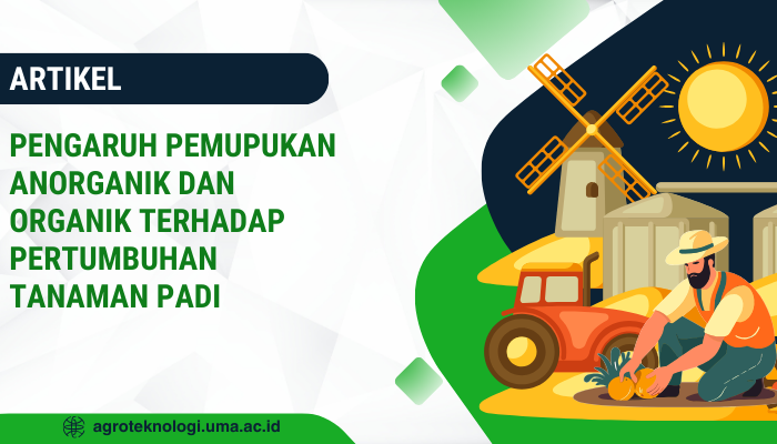 Pengaruh Pemupukan Anorganik Dan Organik Pertumbuhan Tanaman Padi ...